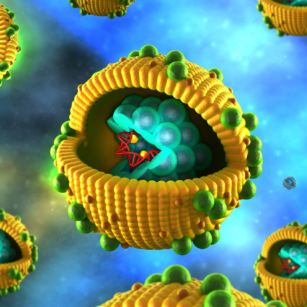 Cell