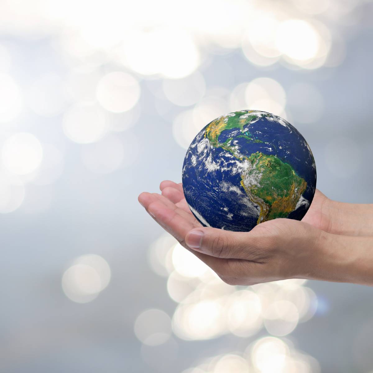 Ways To Prevent Greenhouse Effect Ways to prevent greenhouse effect