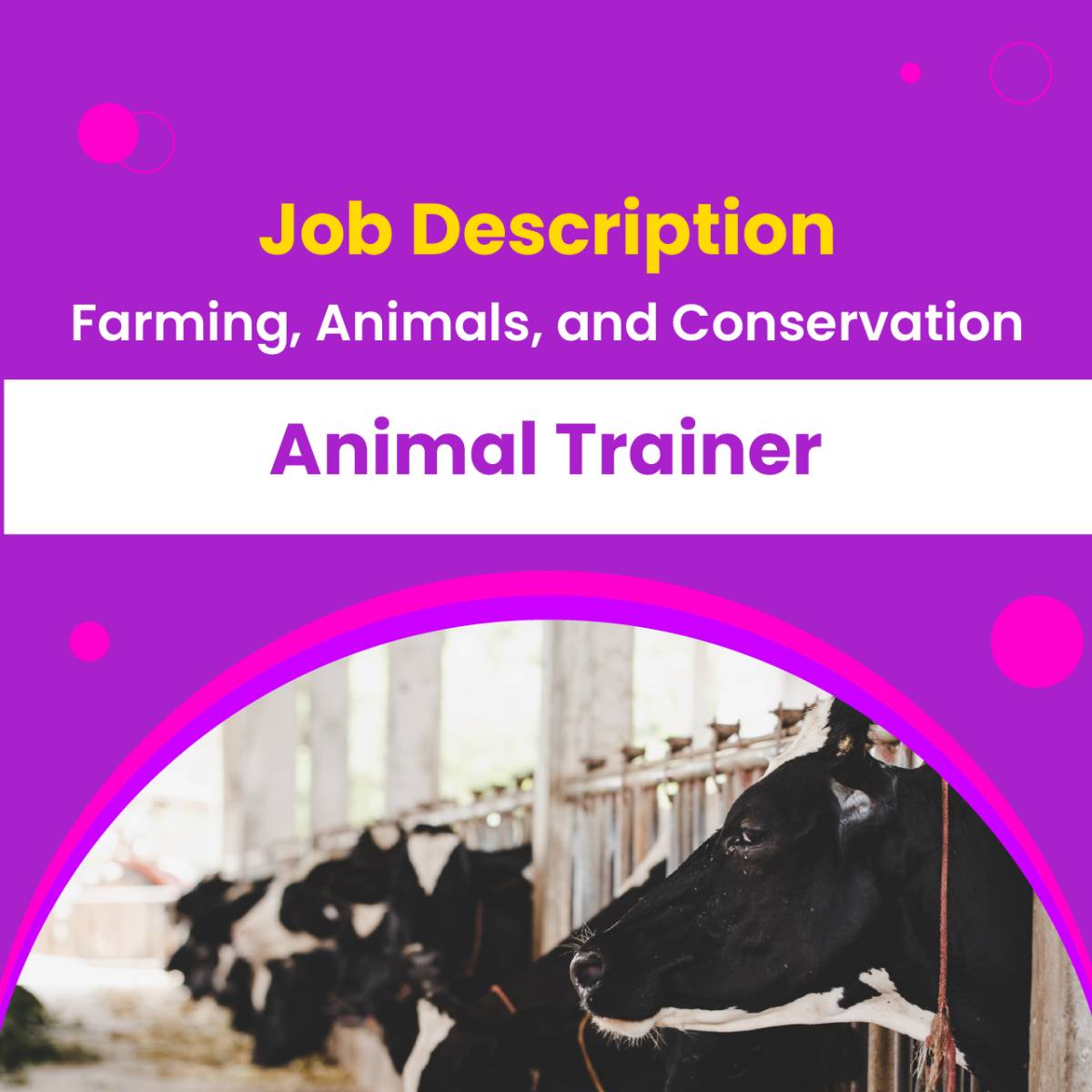 Job Descriptions Animal Trainer
