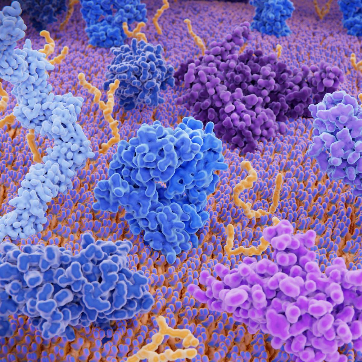 Transduction Real Transduction