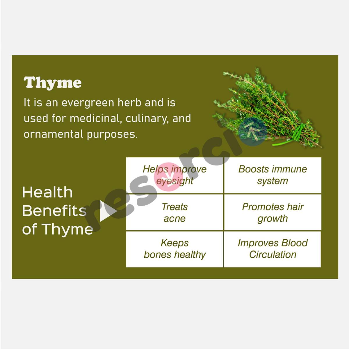 Health Benefits of Thyme 02