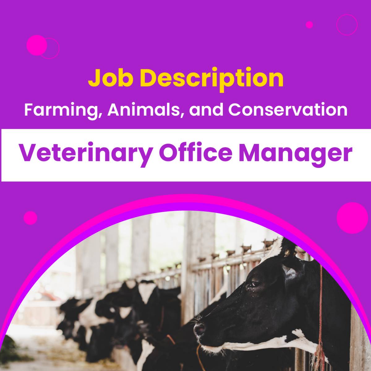 Job Descriptions Veterinary Office Manager