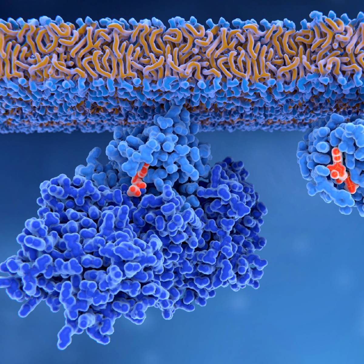 Transduction Real Transduction