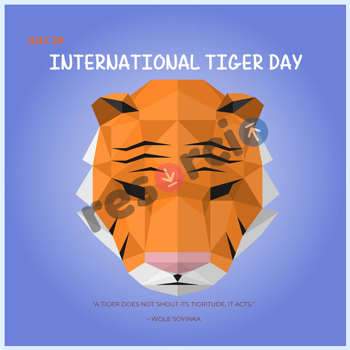International Tiger Day 07
