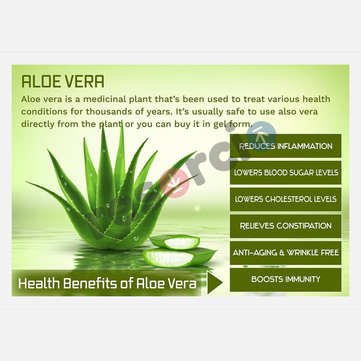 Health Benefits of Herbal Plants 02