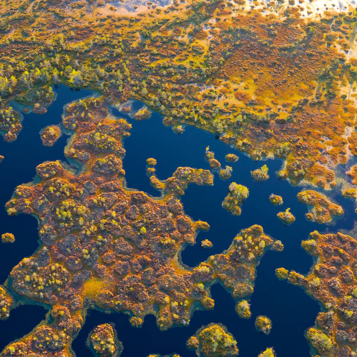 List of Ramsar Sites in India