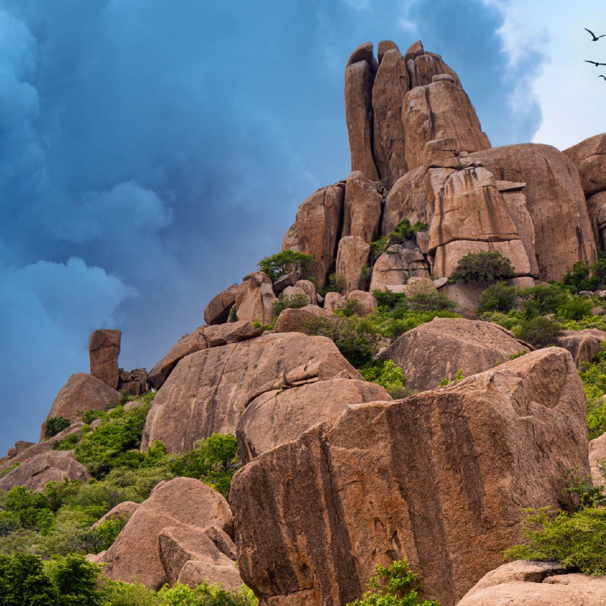 Nalgonda District Overview