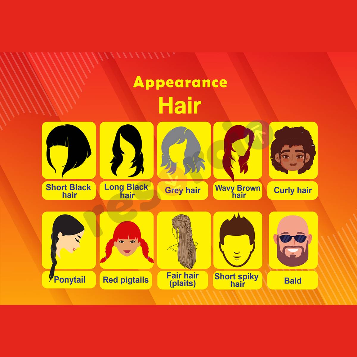 Appearance - Hair - 01