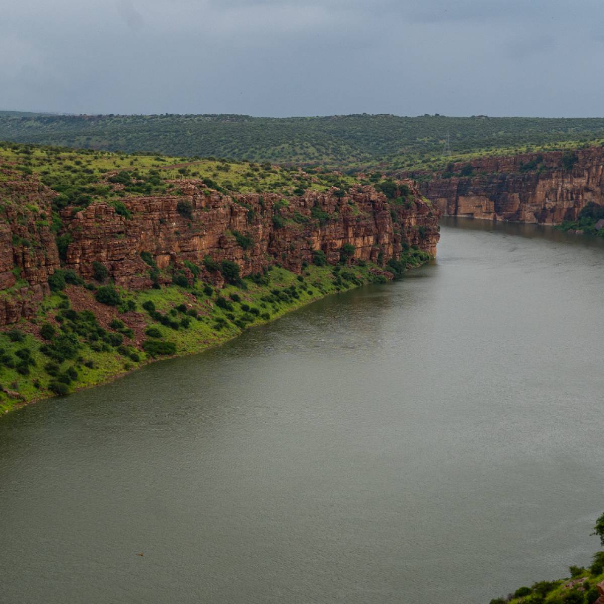 Rivers of Telangana