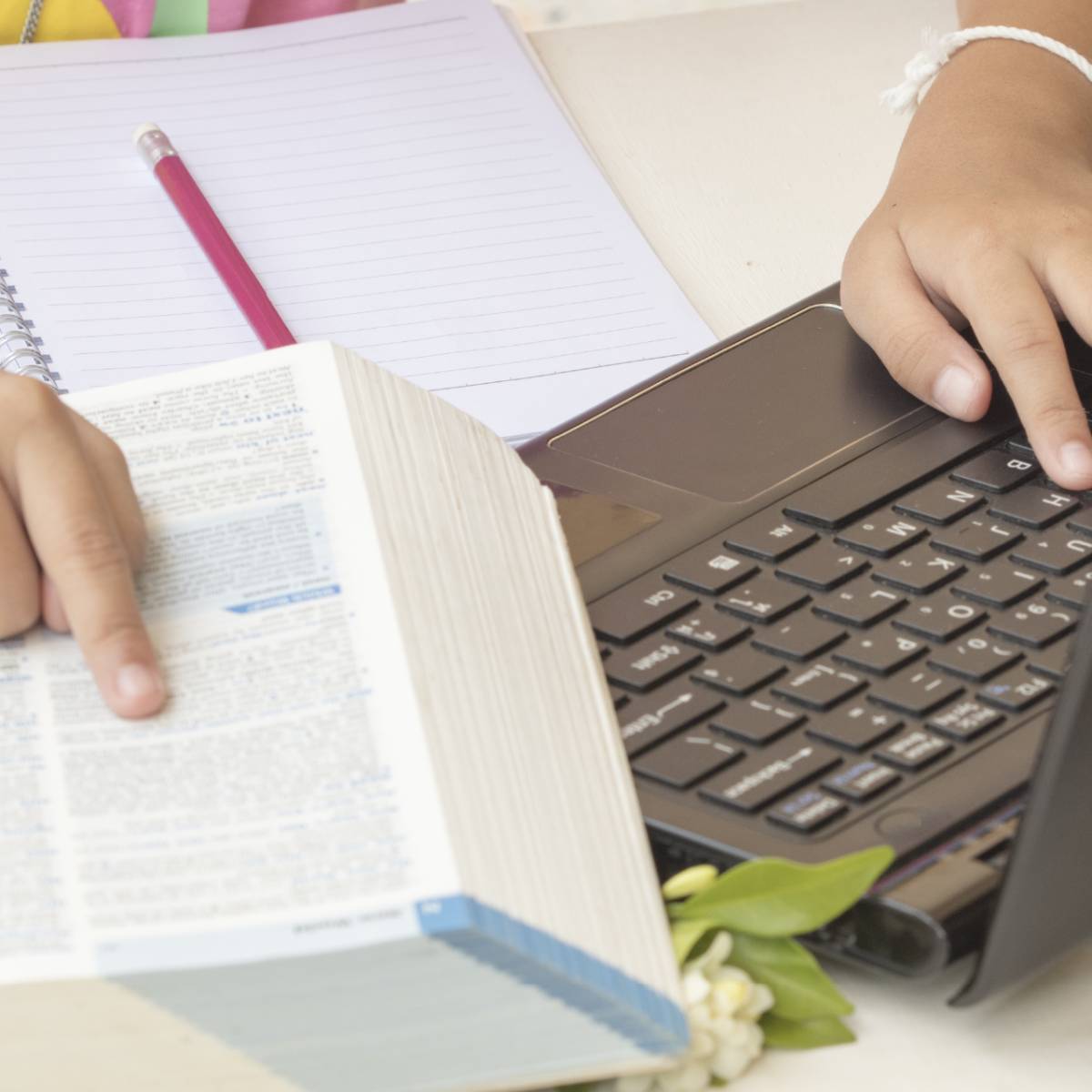 INTERESTING DICTIONARY DEFINITION visual data 5