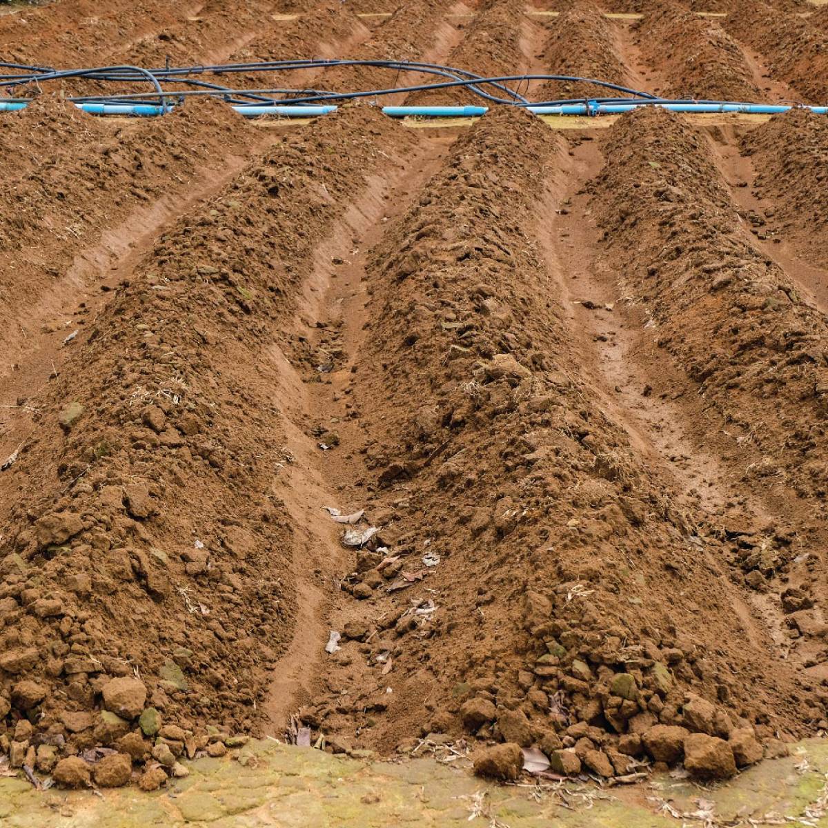 WHAT IS SOIL visual data 5