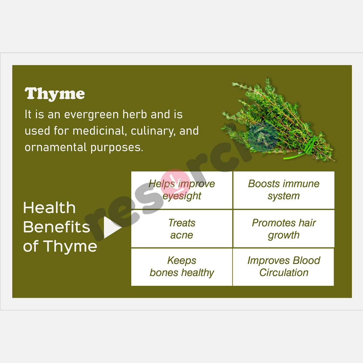 Health Benefits of Herbal Plants 05