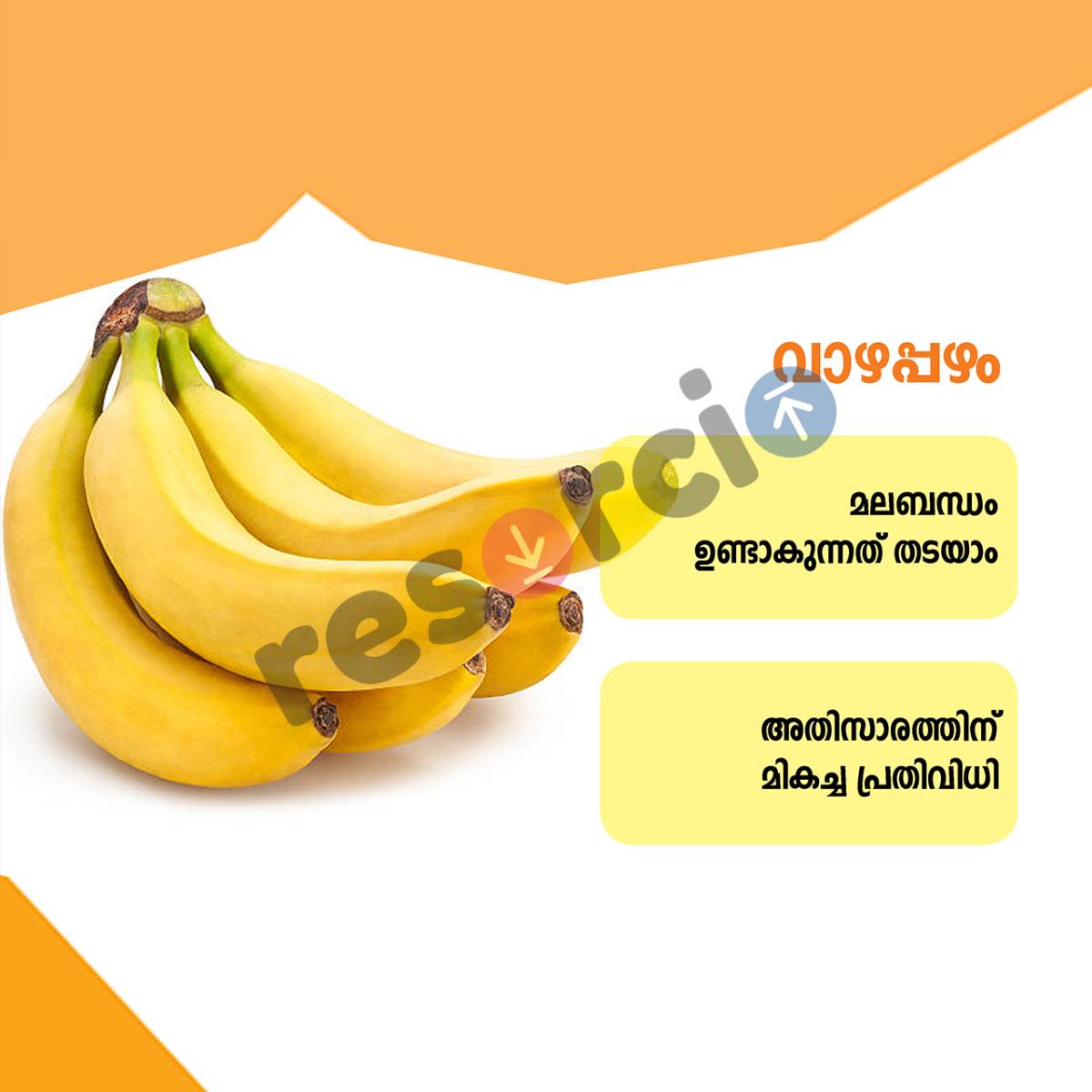 Banana - 04