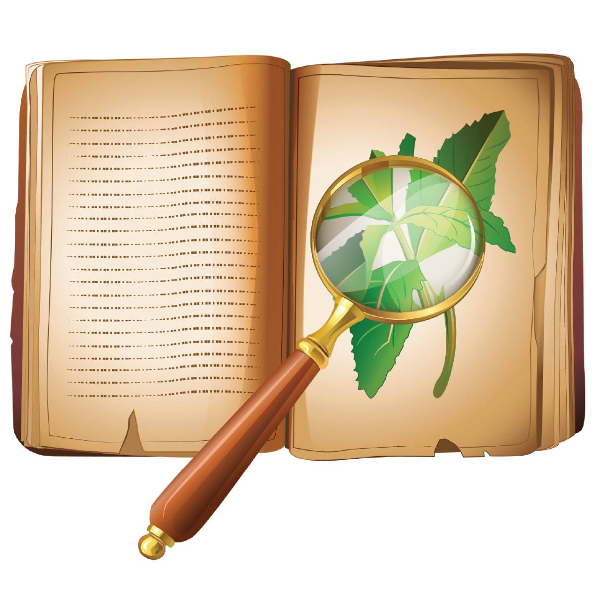 Carl Linnaeus visual data 2