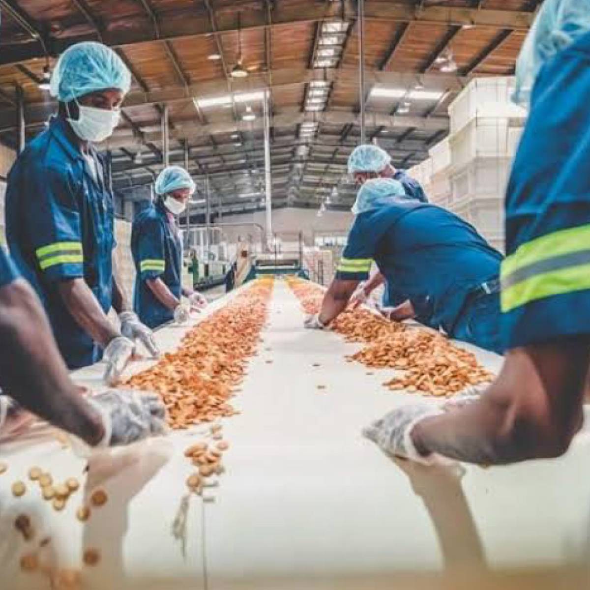 Advanced Techniques in Food Processing