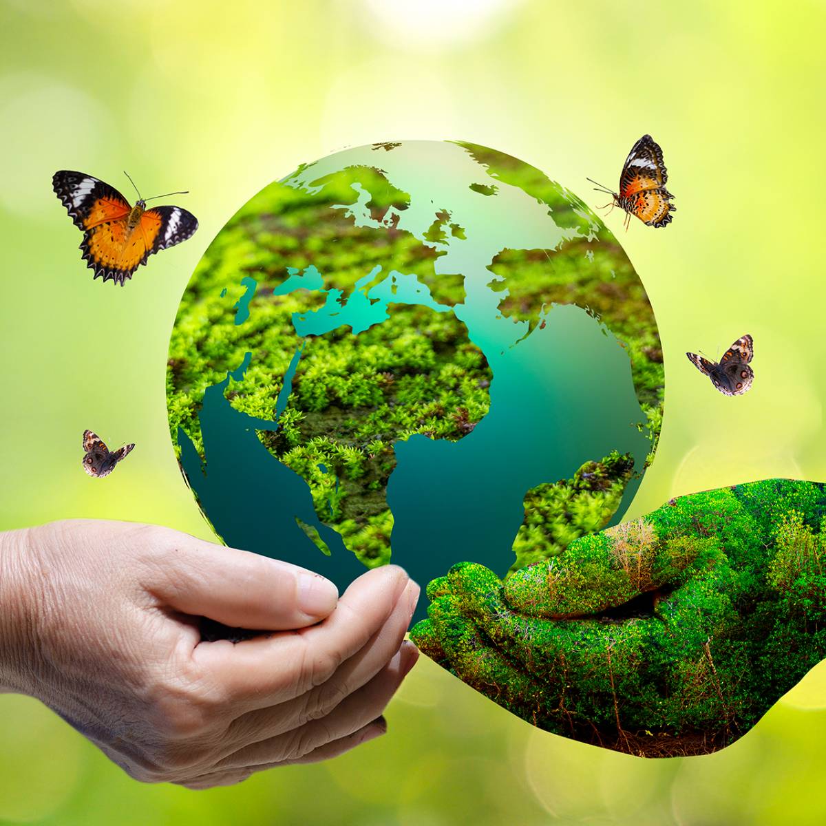 Social Science Resource and Development Chapter 1 Resources